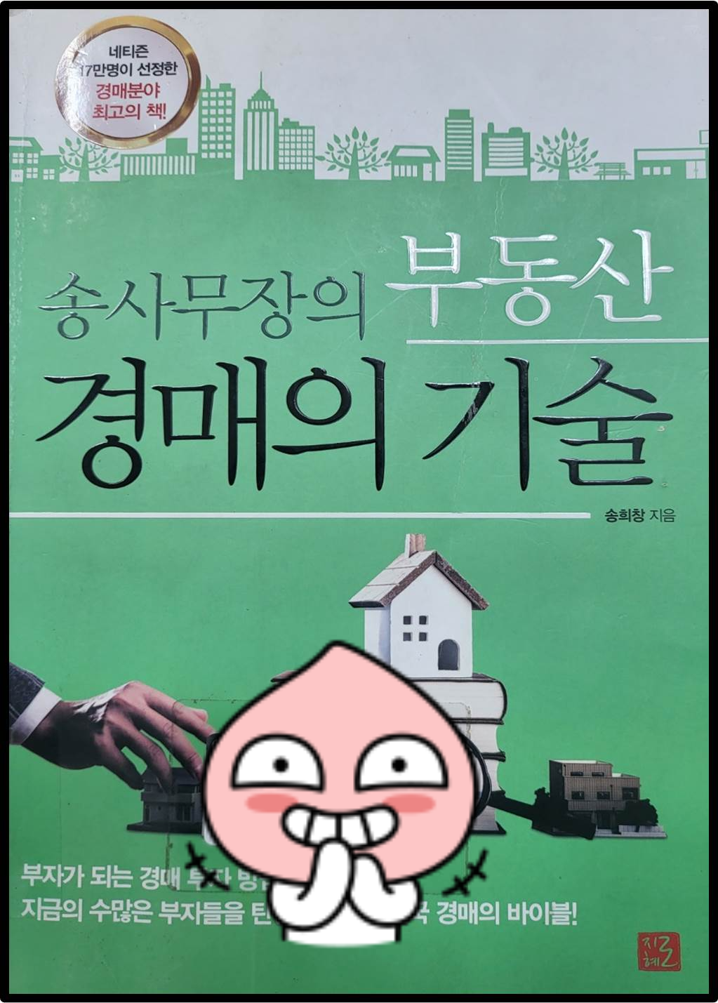 송사무장의 부동산 경매의 기술 책표지
