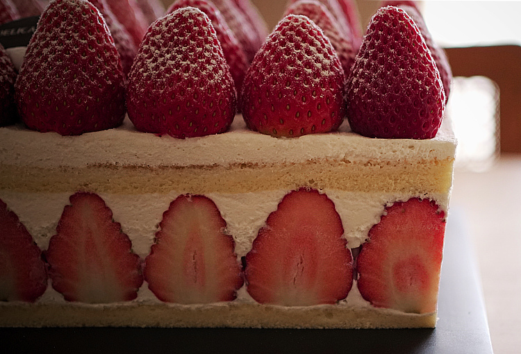 델리카한스 프리미엄 딸기 케이크 단면