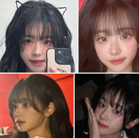 쵸단
