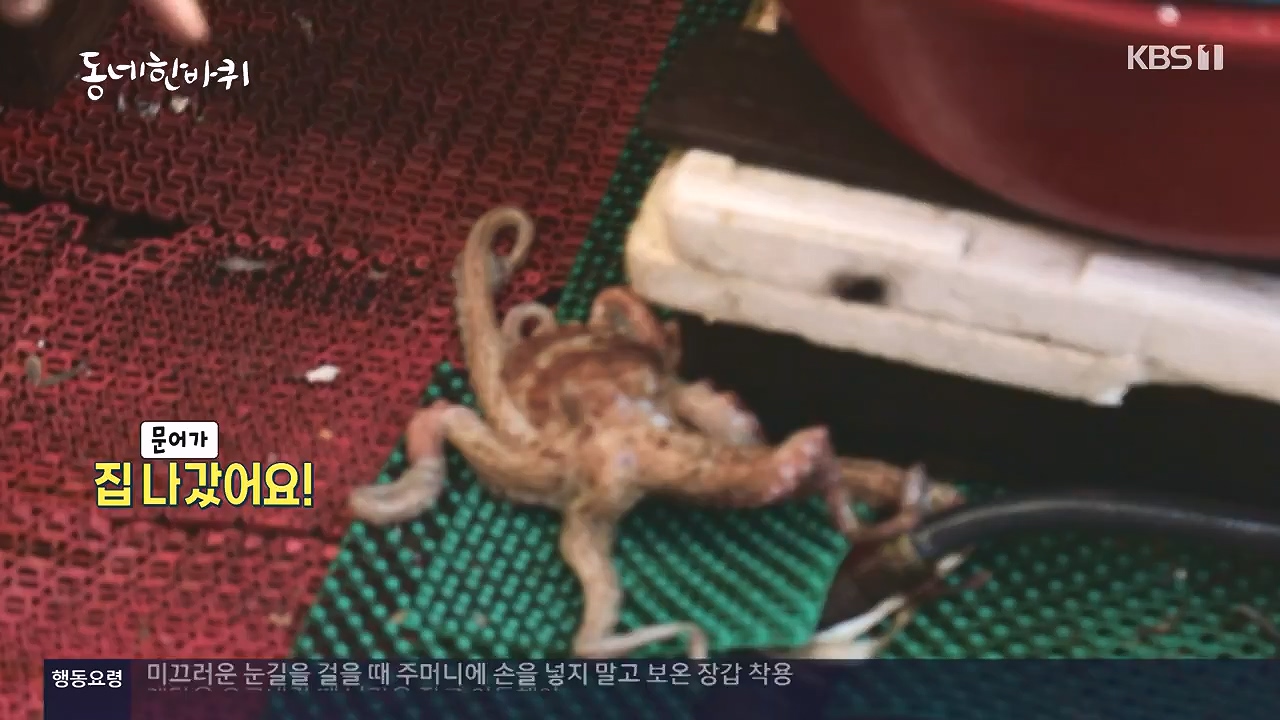 동네 한 바퀴.E252.231217p-NEXT.mp4_20231218_205727.032.jpg