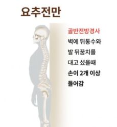 요추전만자세