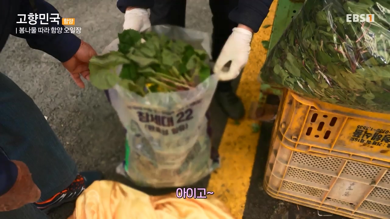 세상의모든기행함양, 봄나물 따라 함양 오일장으로.mp4_20230523_210826.016.jpg