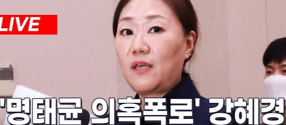 강혜경 보좌관