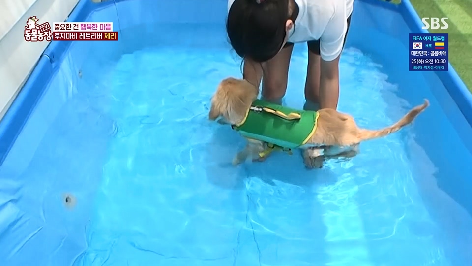 TV 동물농장.E1129.230716p.H264-F1RST.mp4_20230716_183619.491.jpg