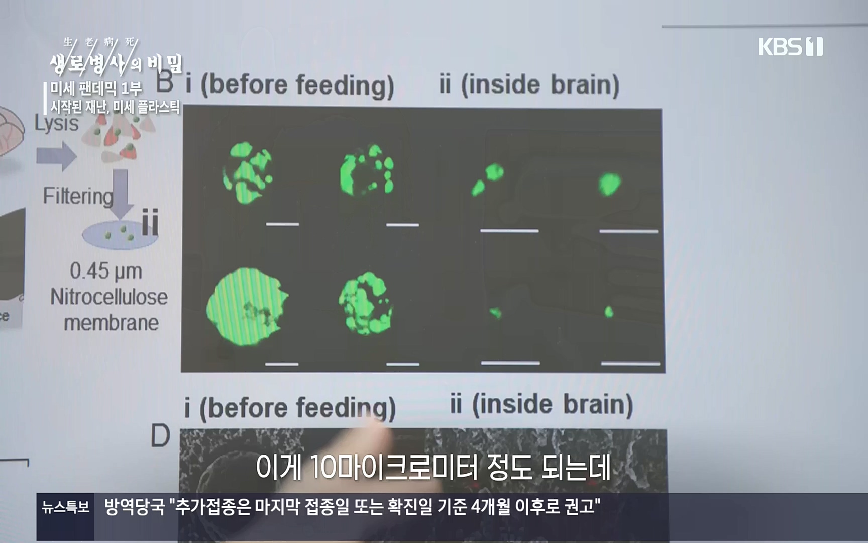 생로병사의 비밀.E839.221012p.H264-F1RST.mp4_20221013_205107.491.jpg