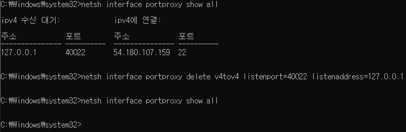 netsh interface portproxy delete