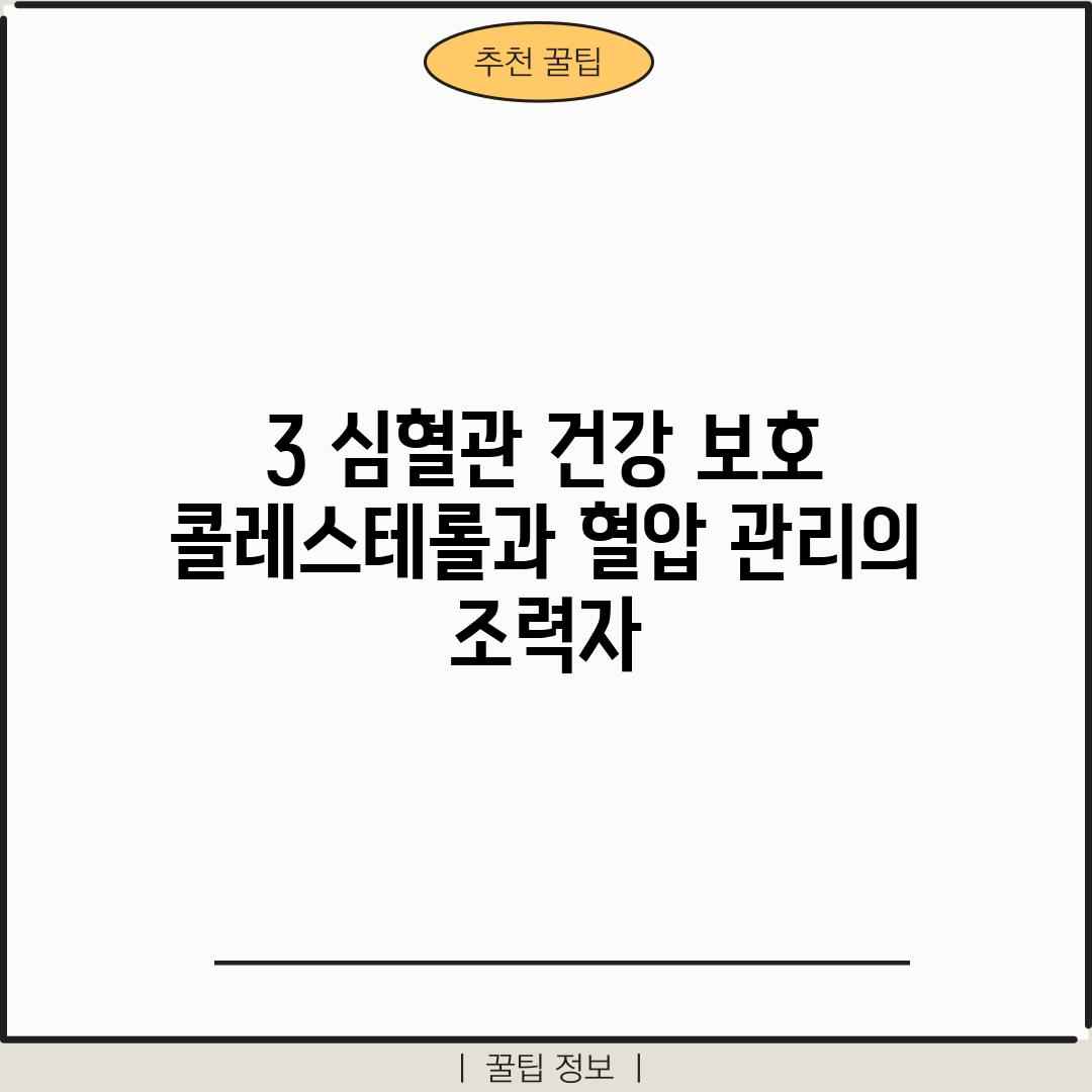 3. 심혈관 건강 보호: 콜레스테롤과 혈압 관리의 조력자