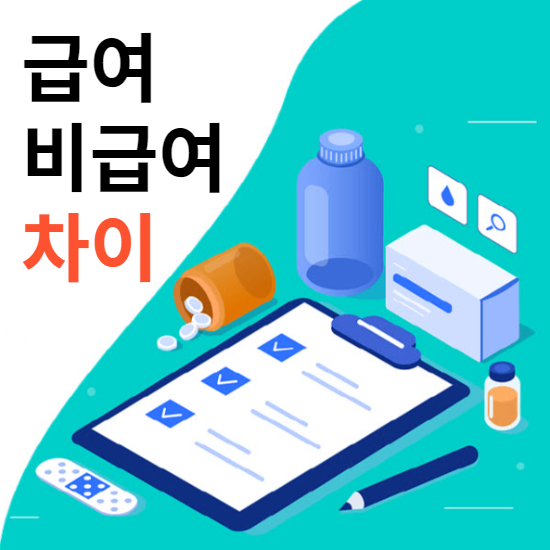  실비보험 청구시 진료비 급여 비급여 차이 내용