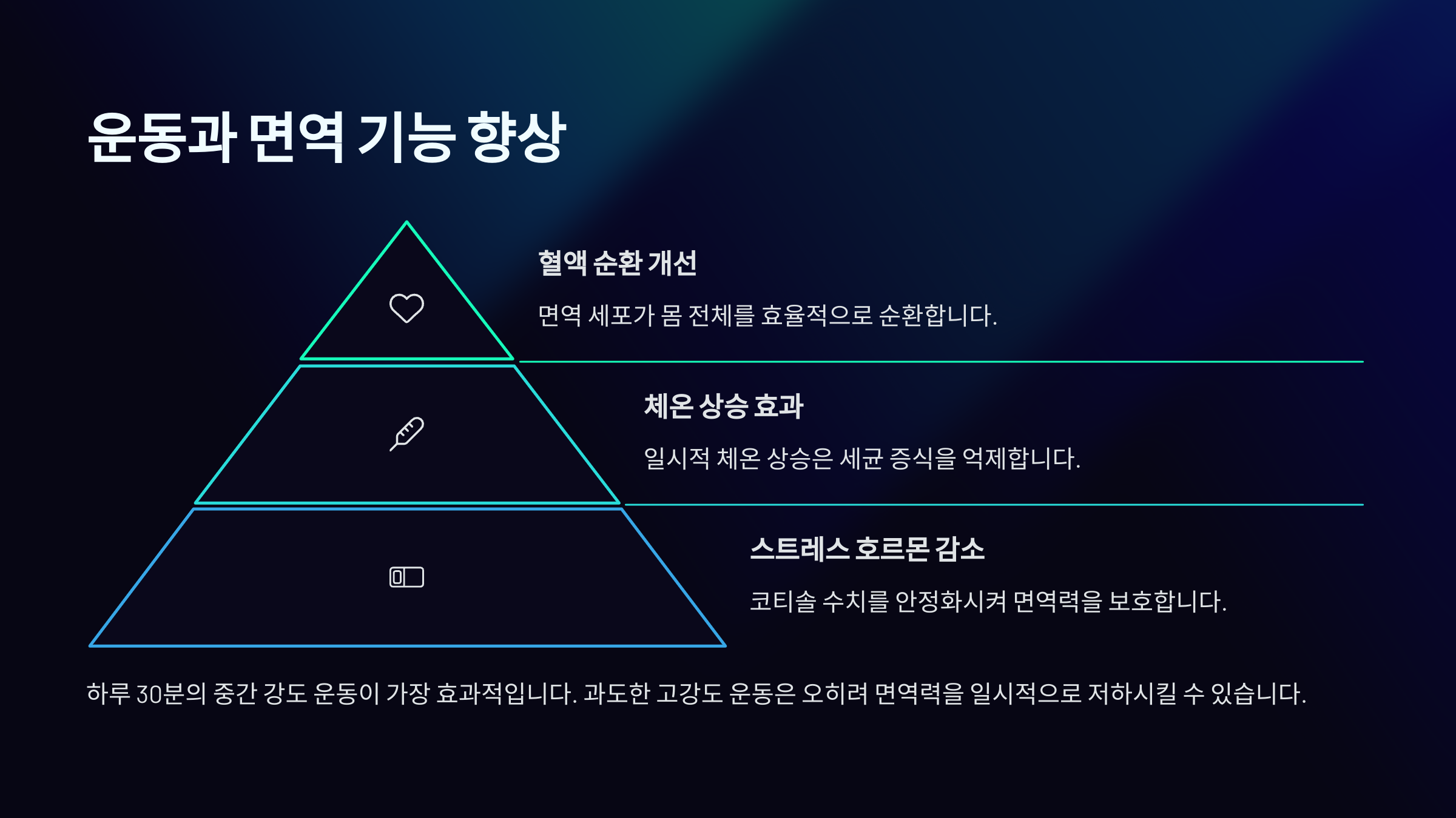 💪 운동과 면역 기능 향상