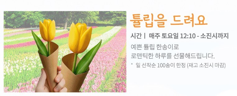 2025 대구 이월드 '튤립 트래블' 축제! : 네덜란드 감성 그대로 즐기는 봄 꽃 축제!