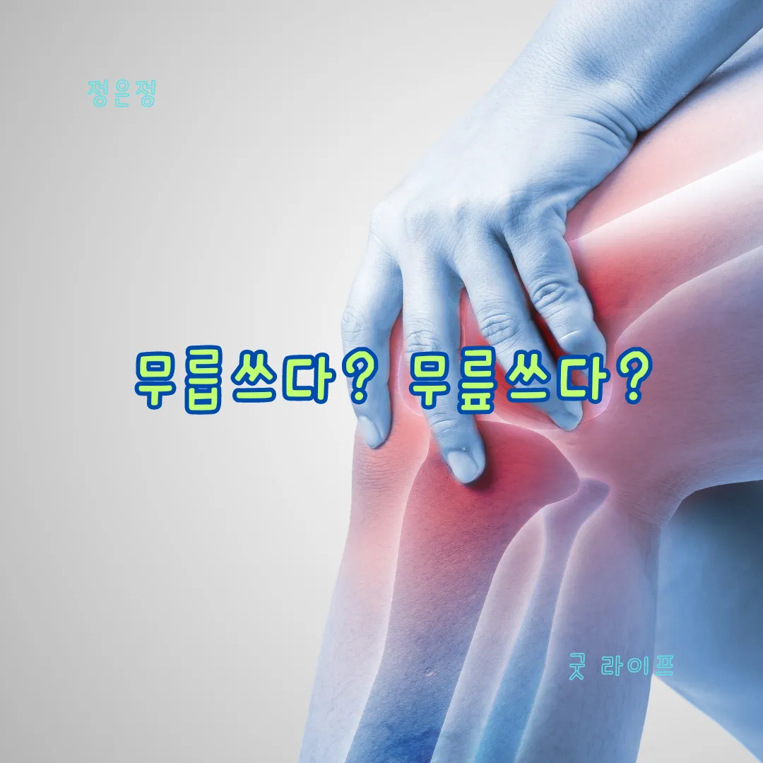 무릎쓰고 무릅쓰고 맞춤법 맞는 표현 예시_5