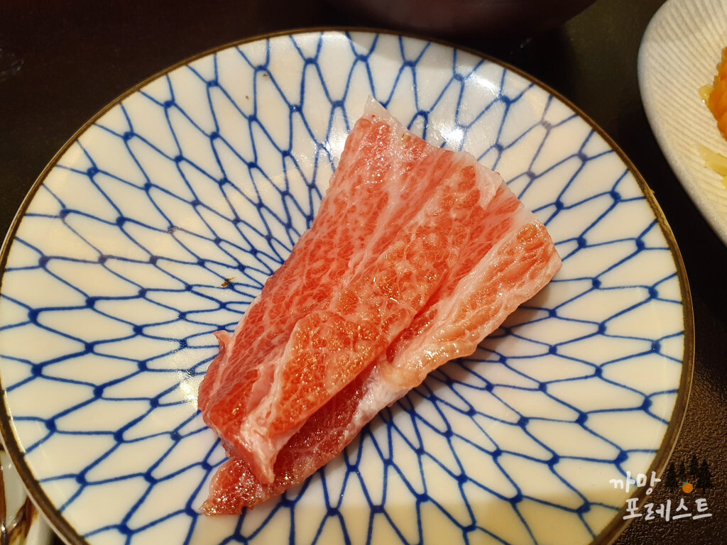 스시이소 참치