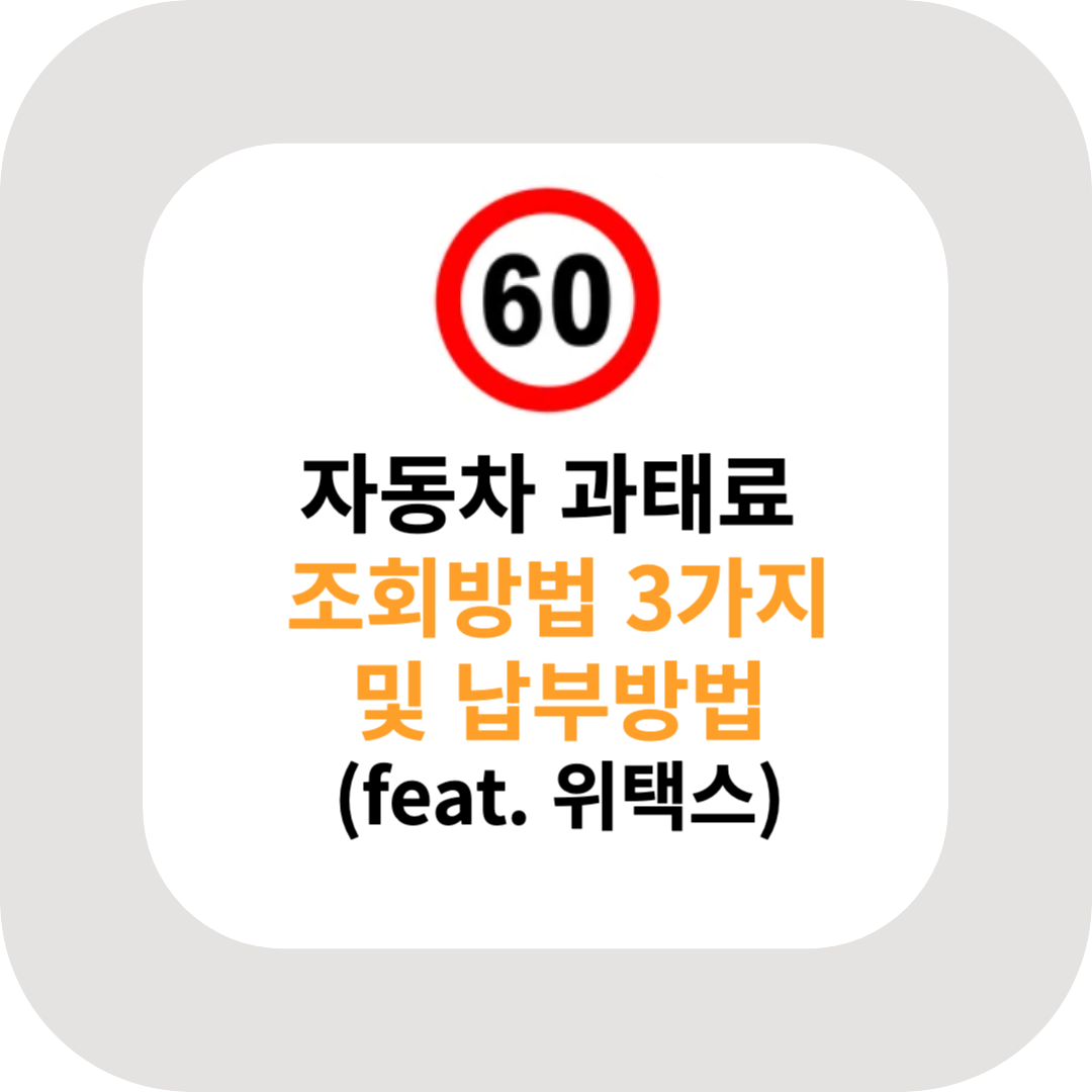  자동차 과태료 조회방법, 납부방법, 미납 시 불이익