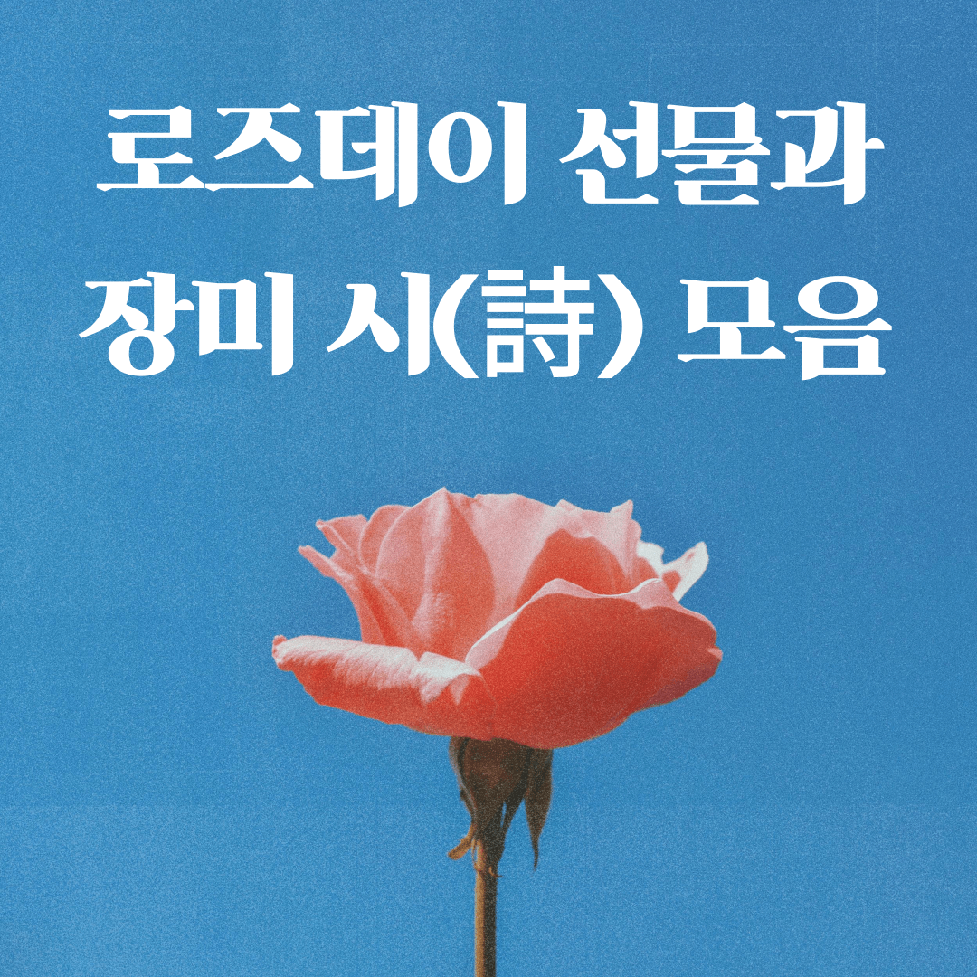 로즈데이 선물 추천 - 장미 관련 시 모음