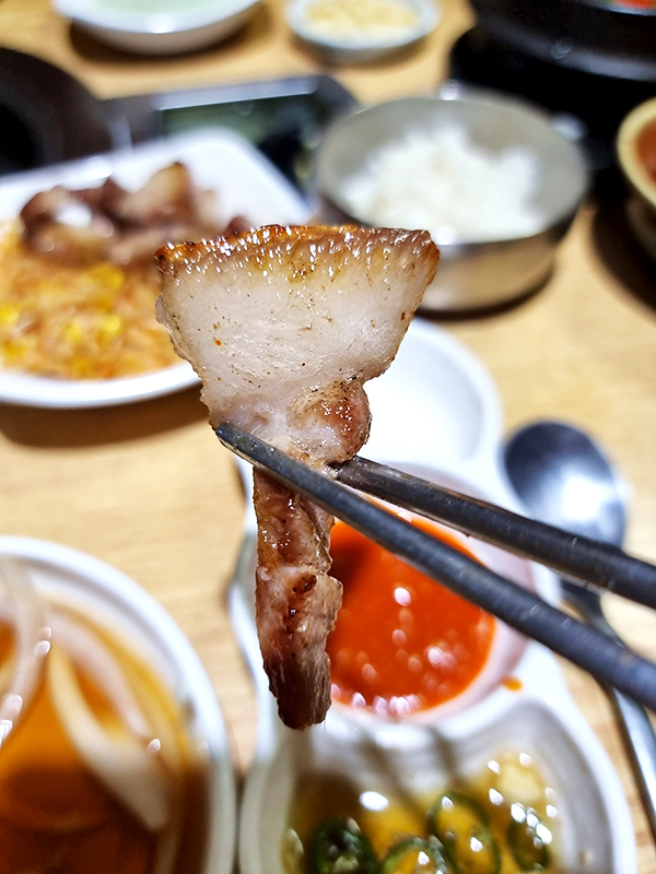 남해 회나무뒷고기