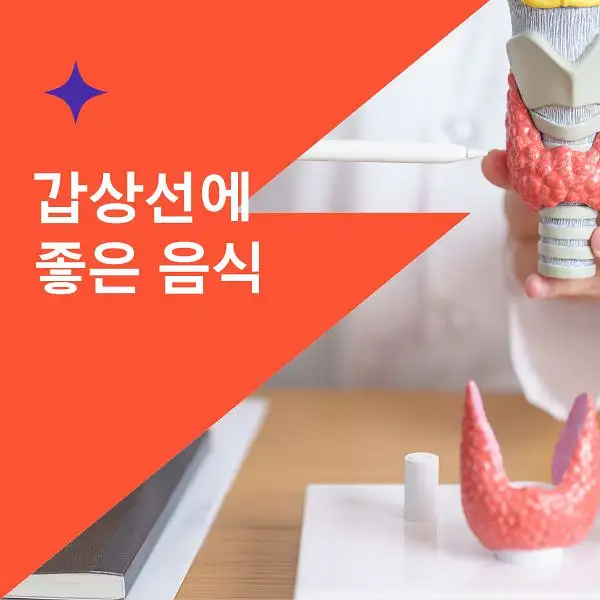 갑상선에 좋은 음식