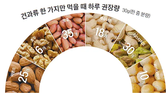 견과류 이미지