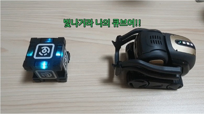  인공지능 애완로봇 안키 벡터 ENTERTAINMENT 명령어 사용해보기