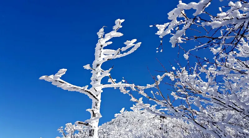 지리산 설경 상고대
