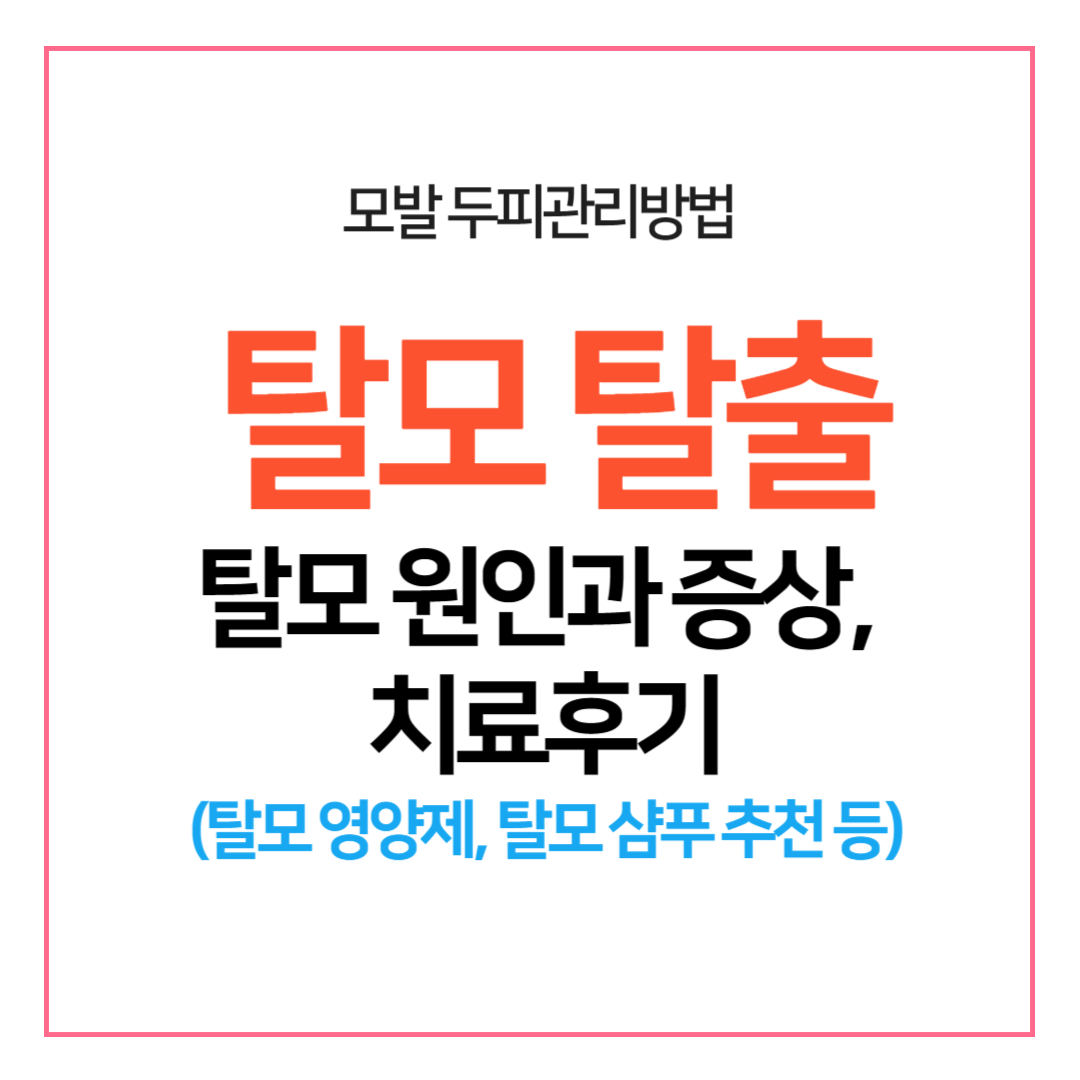 모발 두피관리방법&#44; 탈모 원인과 증상&#44; 탈모 치료후기