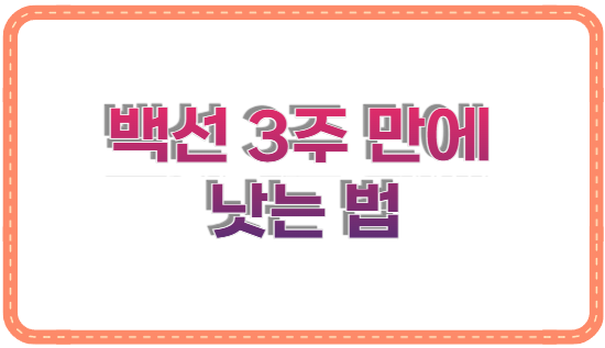백선 3주 만에 낫는 법, 후기로 알아보는 최고의 해결책 BEST 3