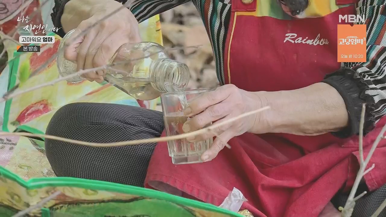 나는 자연인이다.E554.230518p.H264-F1RST.mp4_20230518_194512.218.jpg