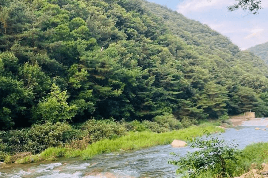 양평 노문 야영장 계곡