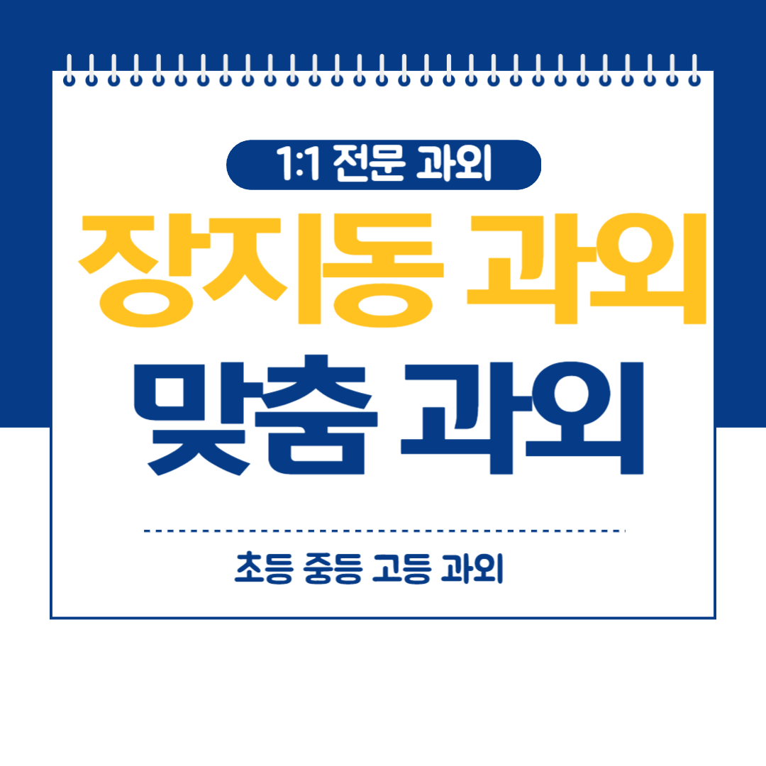  장지동 고등 과외 수학 영어 전 과목 송파구 중등 화상과외 방문과외