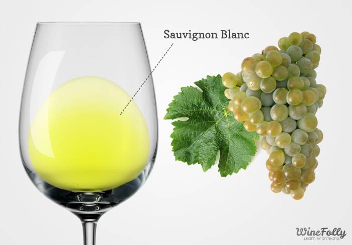 Sauvignon Blanc - wine color