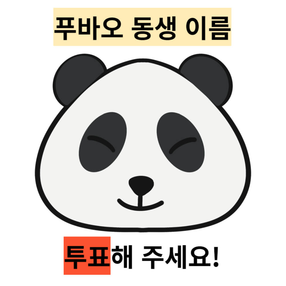 푸바오 동생 이름