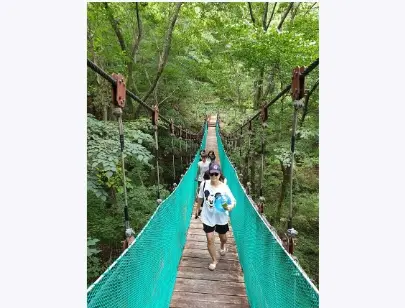 알프스 자연휴양림 체험활동