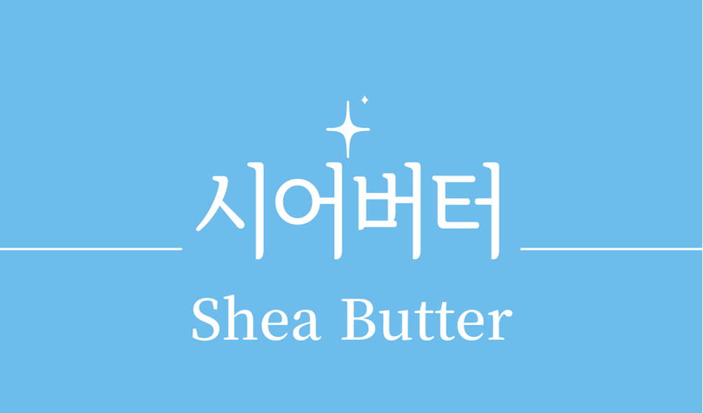 '시어버터(Shea Butter)'