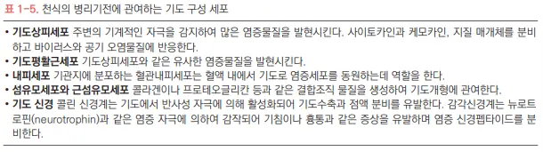 기도 구성세포