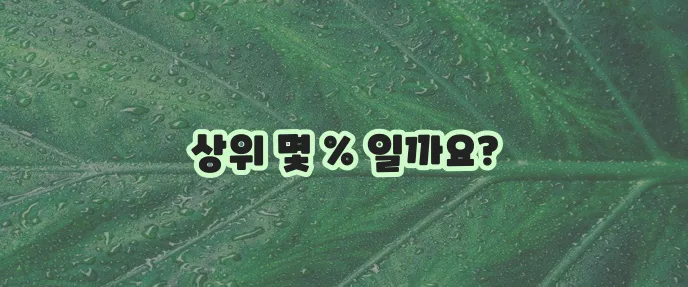 연봉 1억은 상위 몇 프로에 해당할까요 궁금하네요!