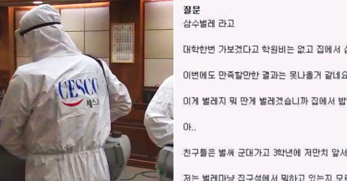  세스코 답변 레전드