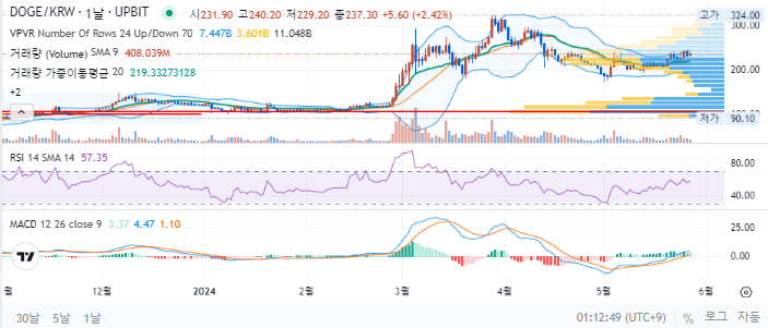 도지코인 일봉