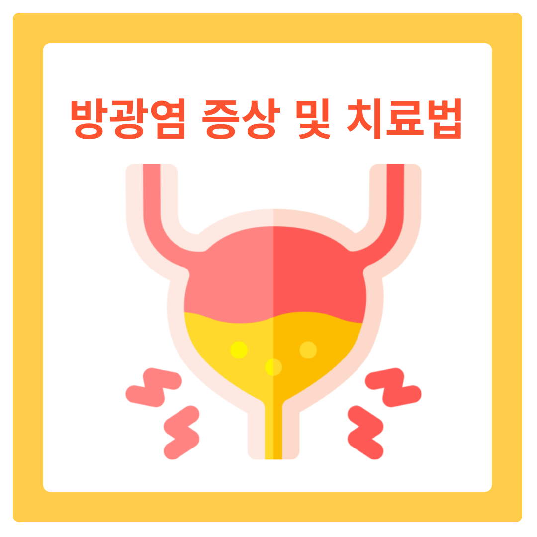  방광염의 증상과 효과적인 치료 방법