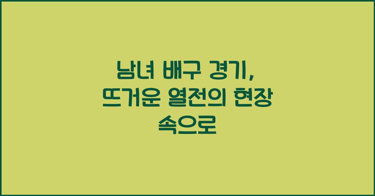 남녀 배구 경기