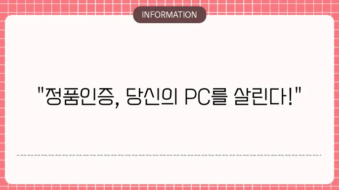 windows 11 정품인증