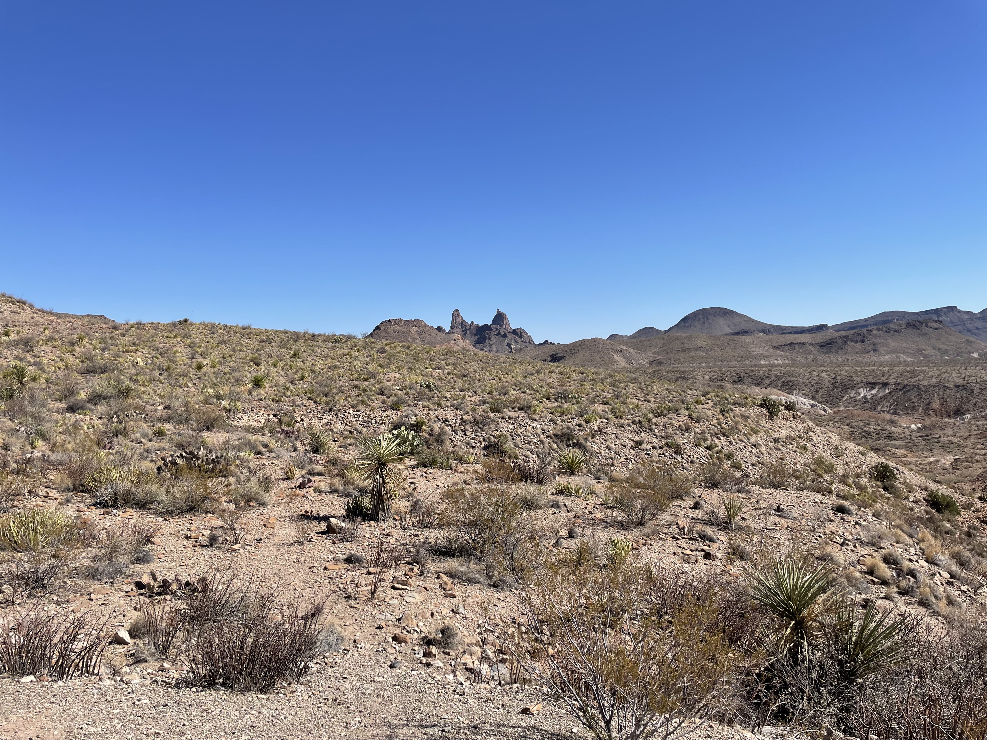 소톨 비스타에서 찍은 뮬 이어 픽(Mule Ears Peak)
