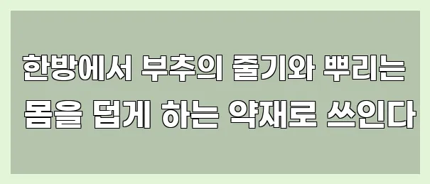  한방에서 부추의 줄기와 뿌리는 몸을 덥게 하는 약재로 쓰인다