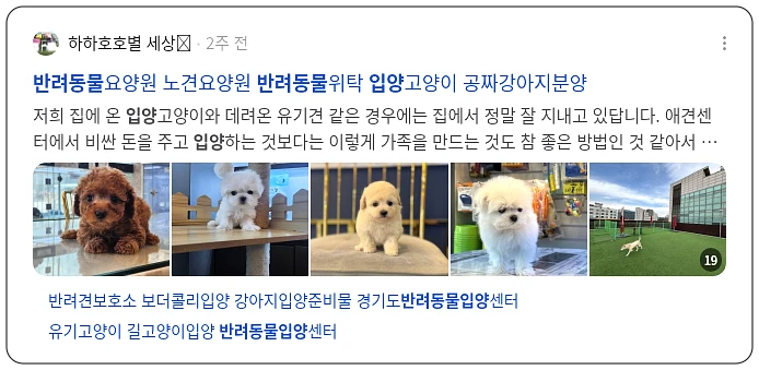 반려동물 입양_3_subsection