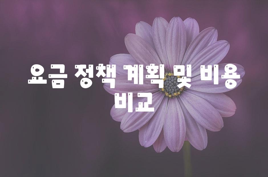 요금 정책 계획 및 비용 비교