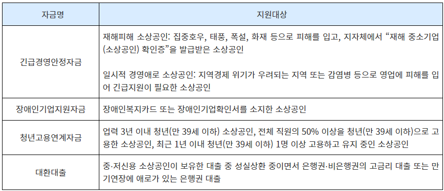 소상공인 정책자금