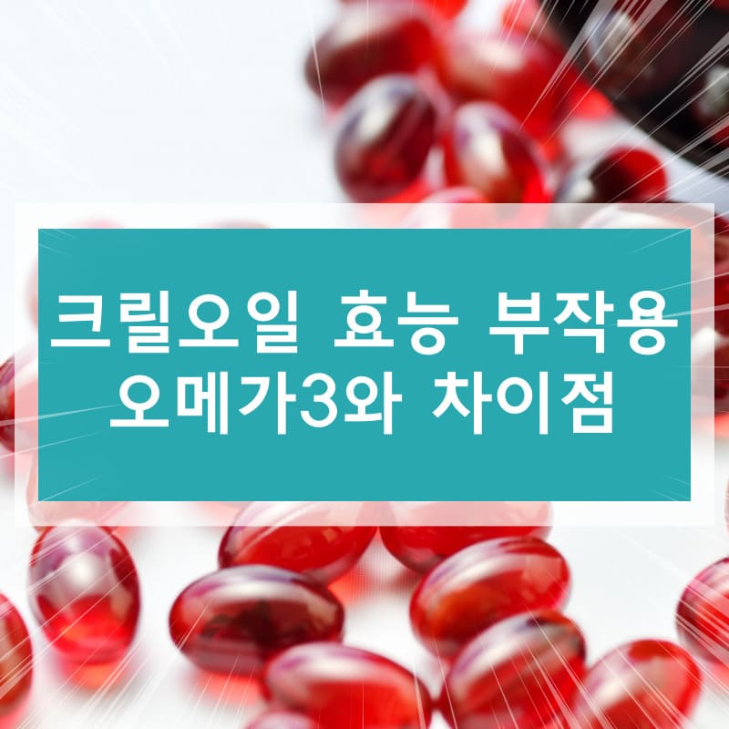 크릴오일 효능 부작용