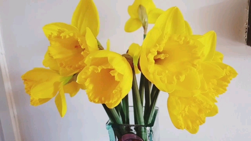 코로나 정부지원금 100만원 신청방법 코로나19 한시 문화예술인 활동지원금 100만원 4