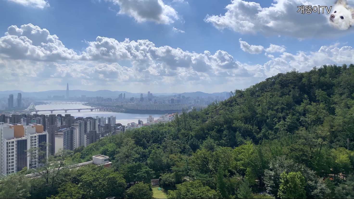  남산타운아파트 뷰 Korea Seoul Apartment | 남산뷰아파트, 한강뷰아파트 | 신당동
