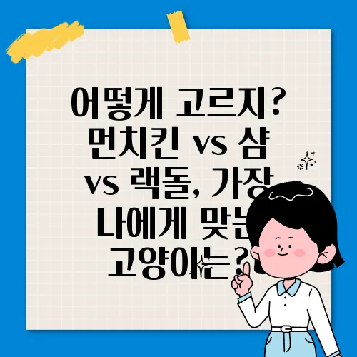 어떻게 고르지? 먼치킨 vs 샴 vs 랙돌, 가장 나에게 맞는 고양이는?