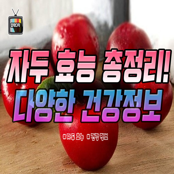  자두 효능 정리