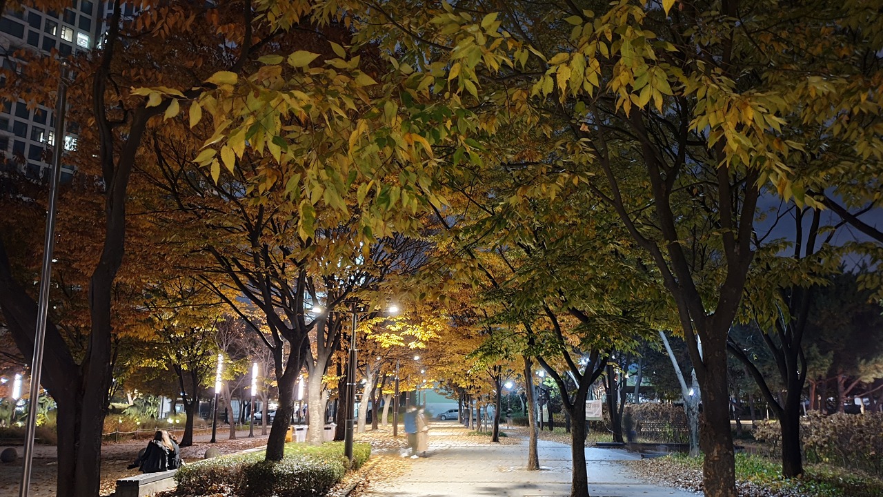 서울숲 야경